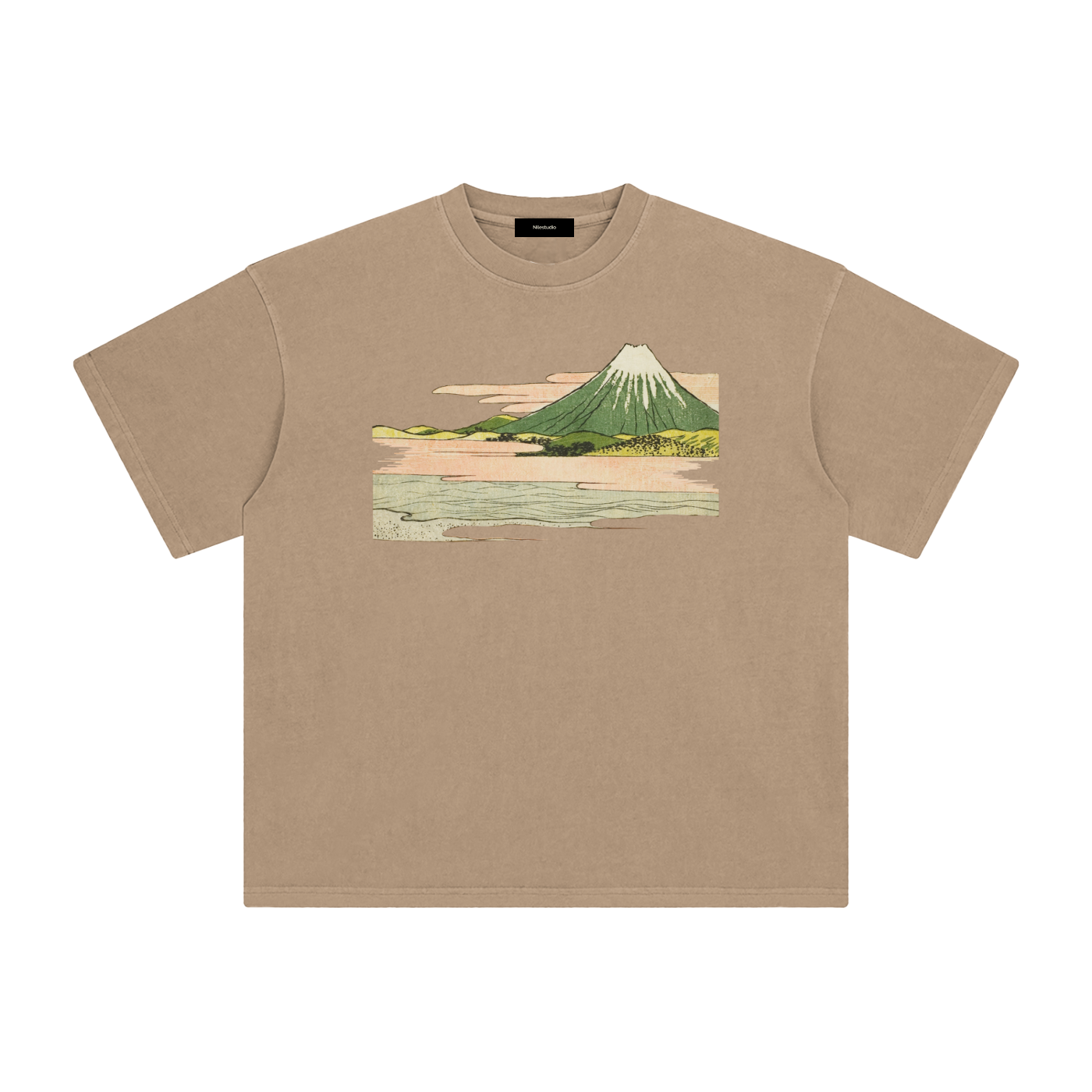 Draft No. II -  Fuji Study