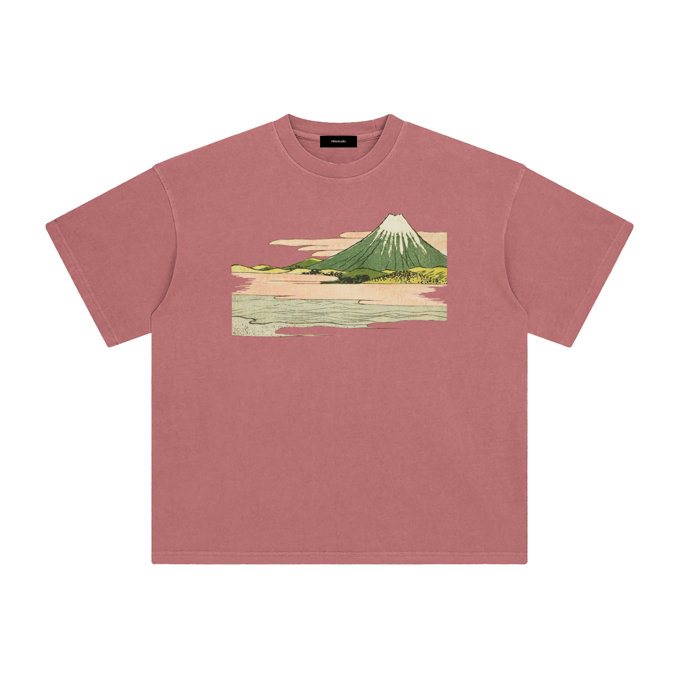Draft No. II -  Fuji Study