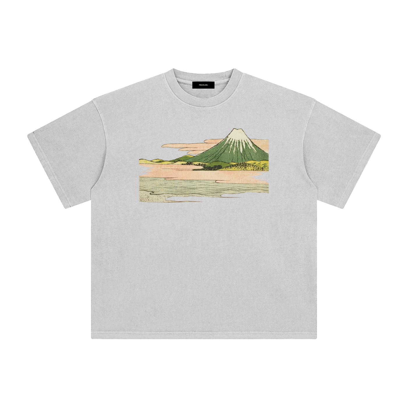 Draft No. II -  Fuji Study