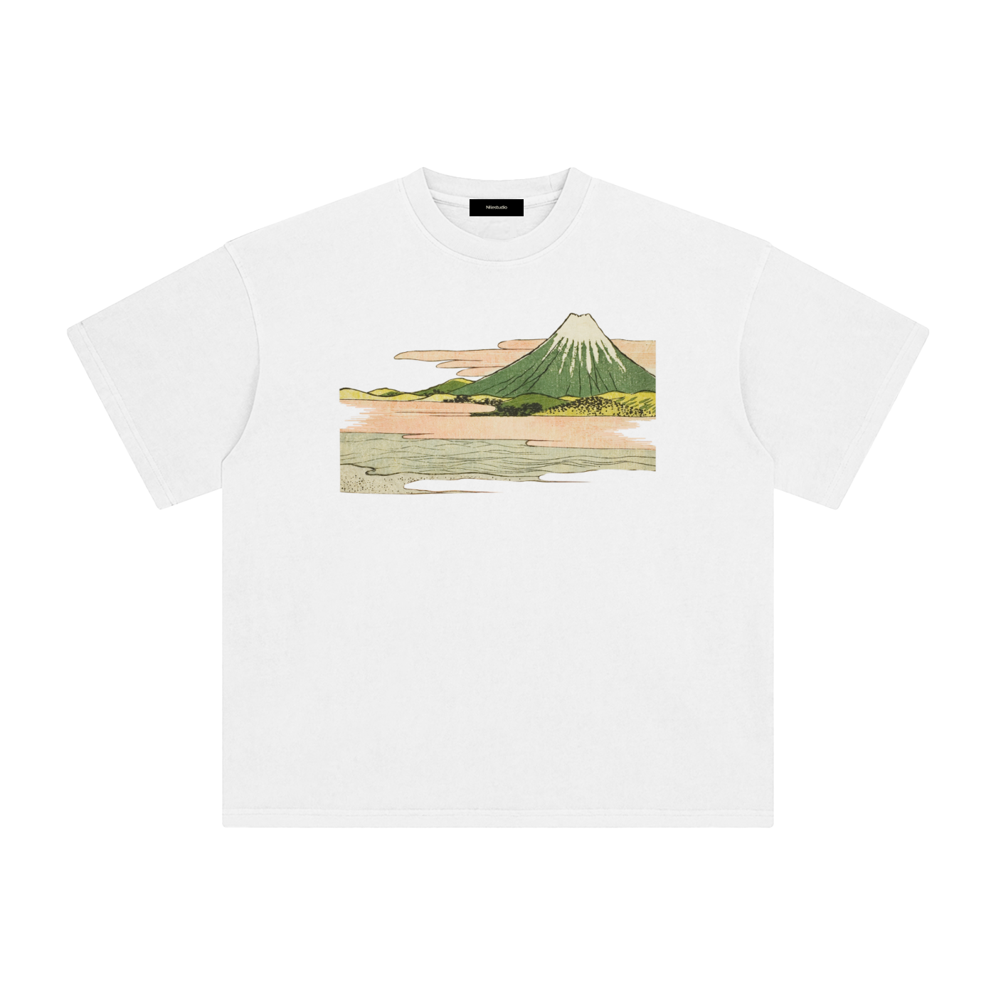 Draft No. II -  Fuji Study