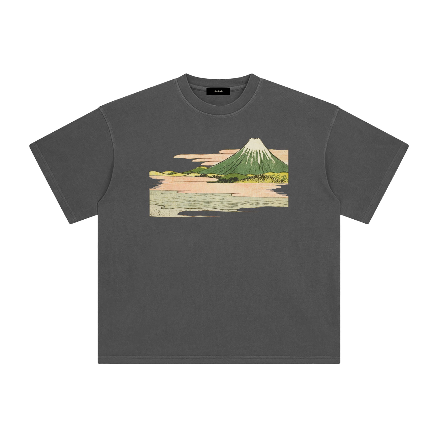 Draft No. II -  Fuji Study
