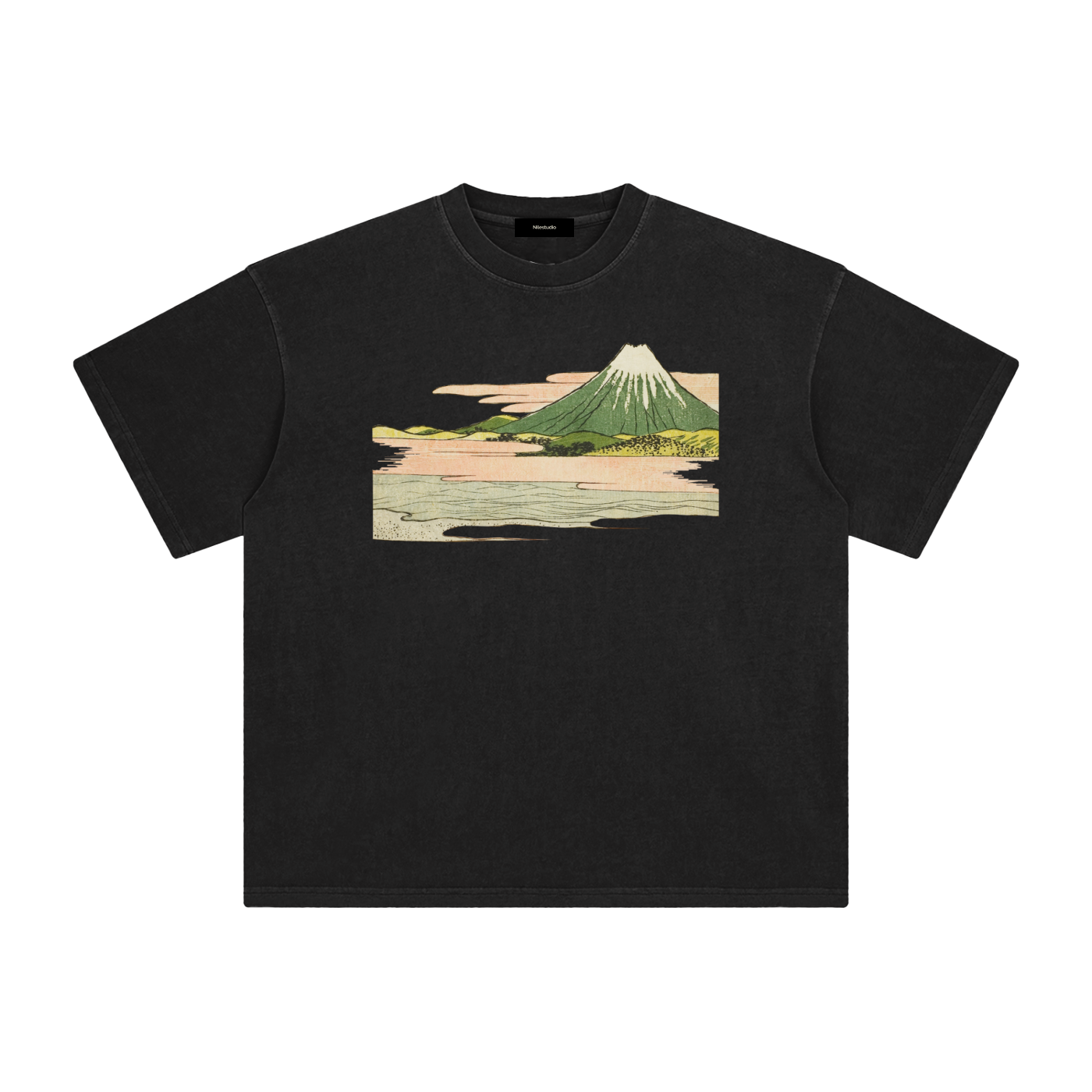 Draft No. II -  Fuji Study