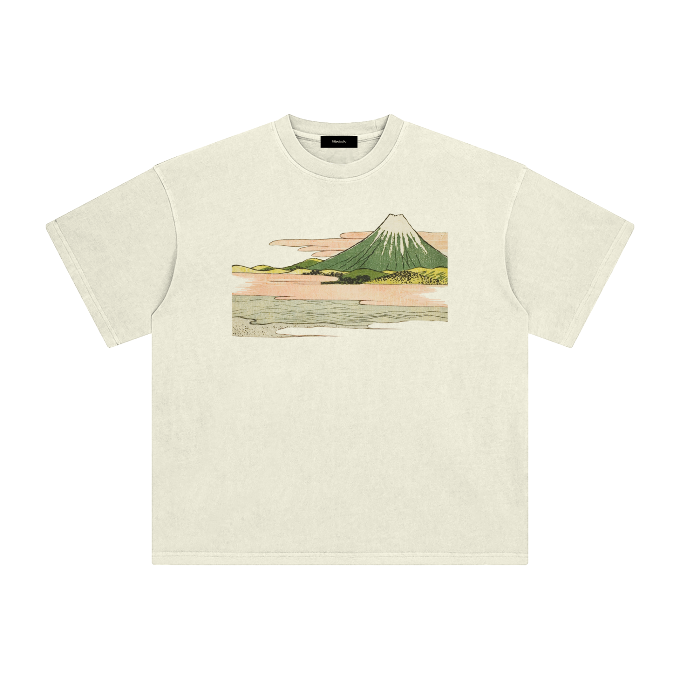 Draft No. II -  Fuji Study