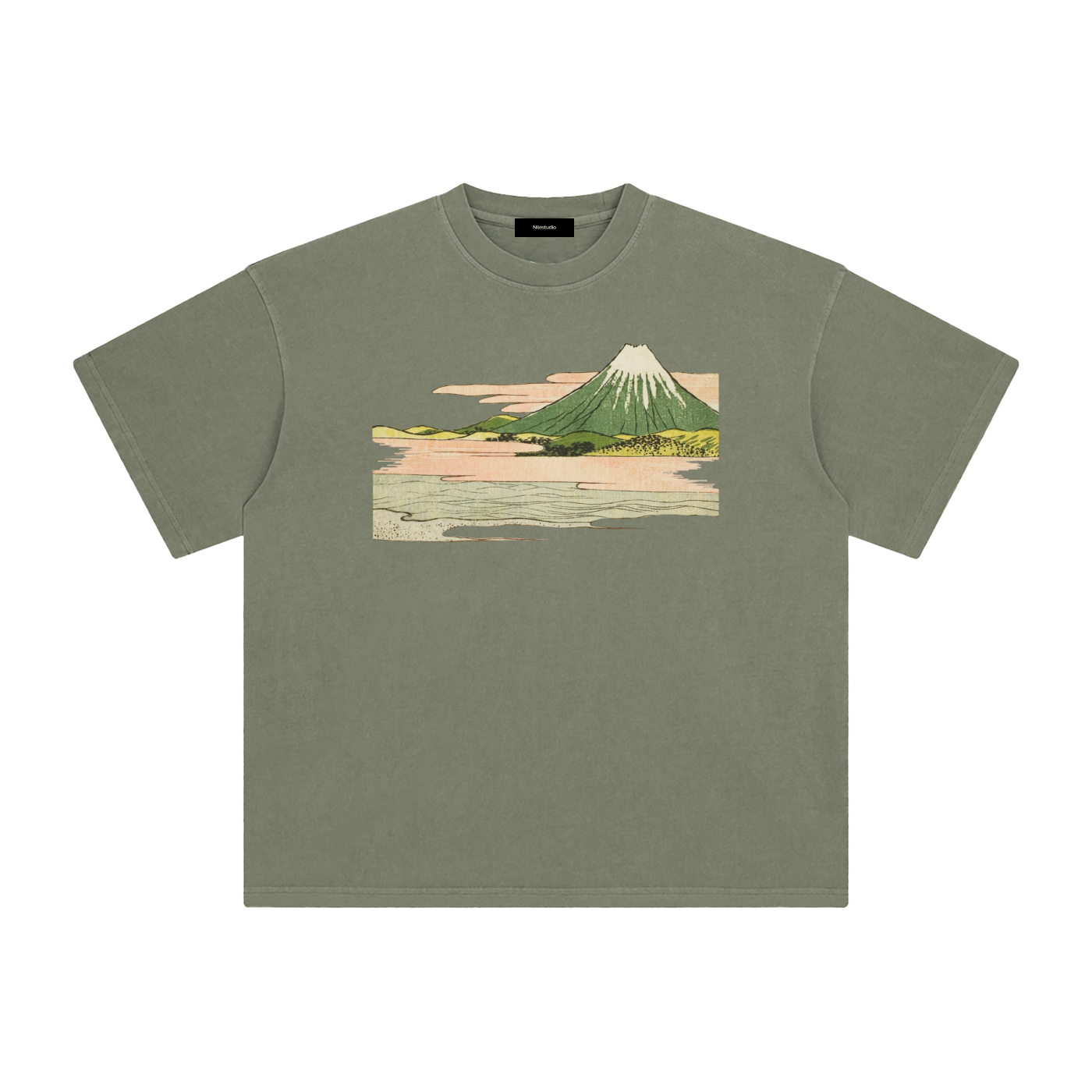 Draft No. II -  Fuji Study