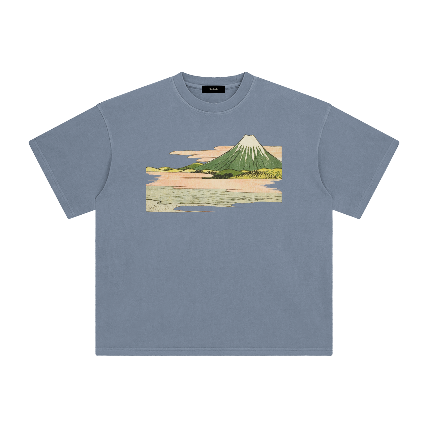 Draft No. II -  Fuji Study