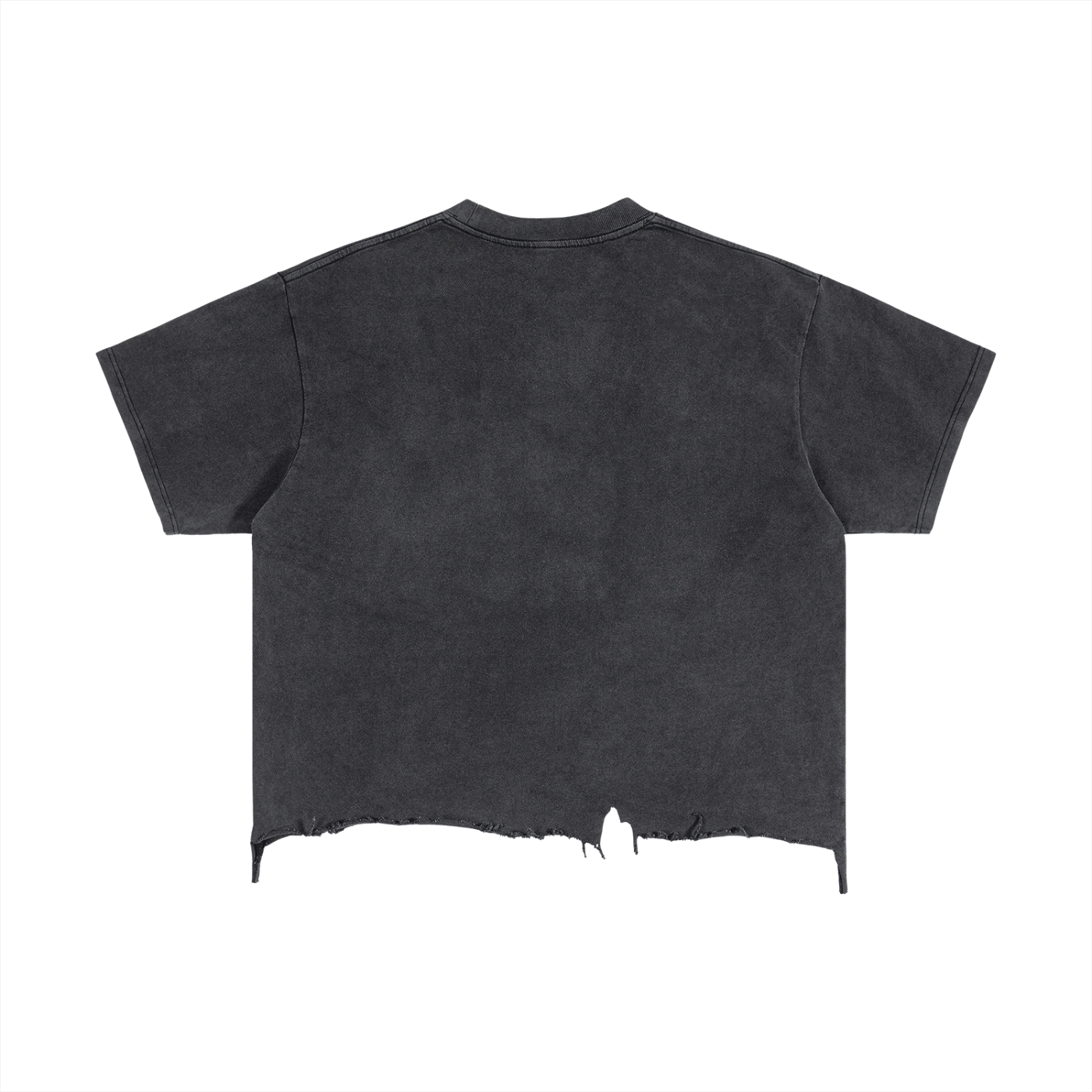 Draft No. II - Washed Study