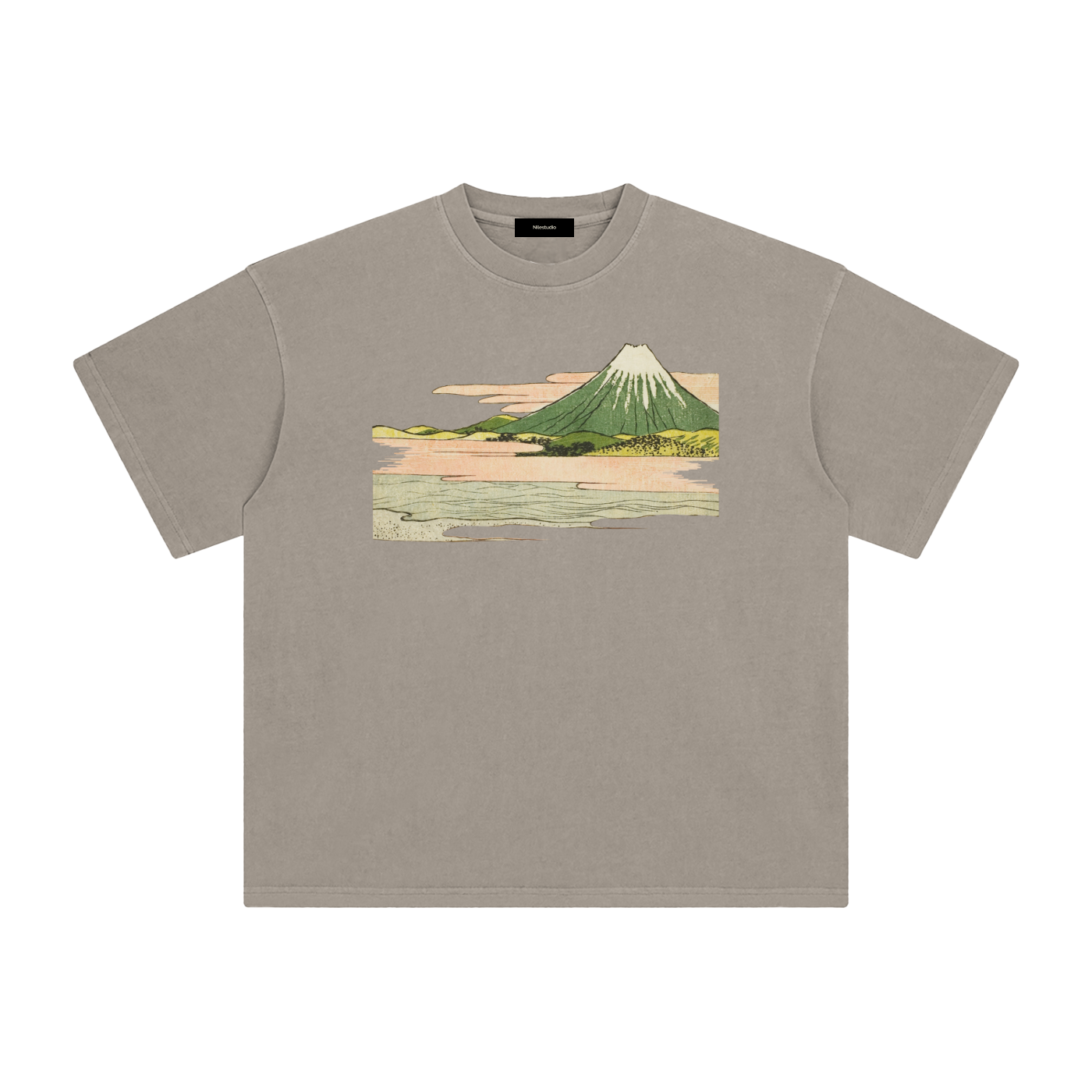 Draft No. II -  Fuji Study