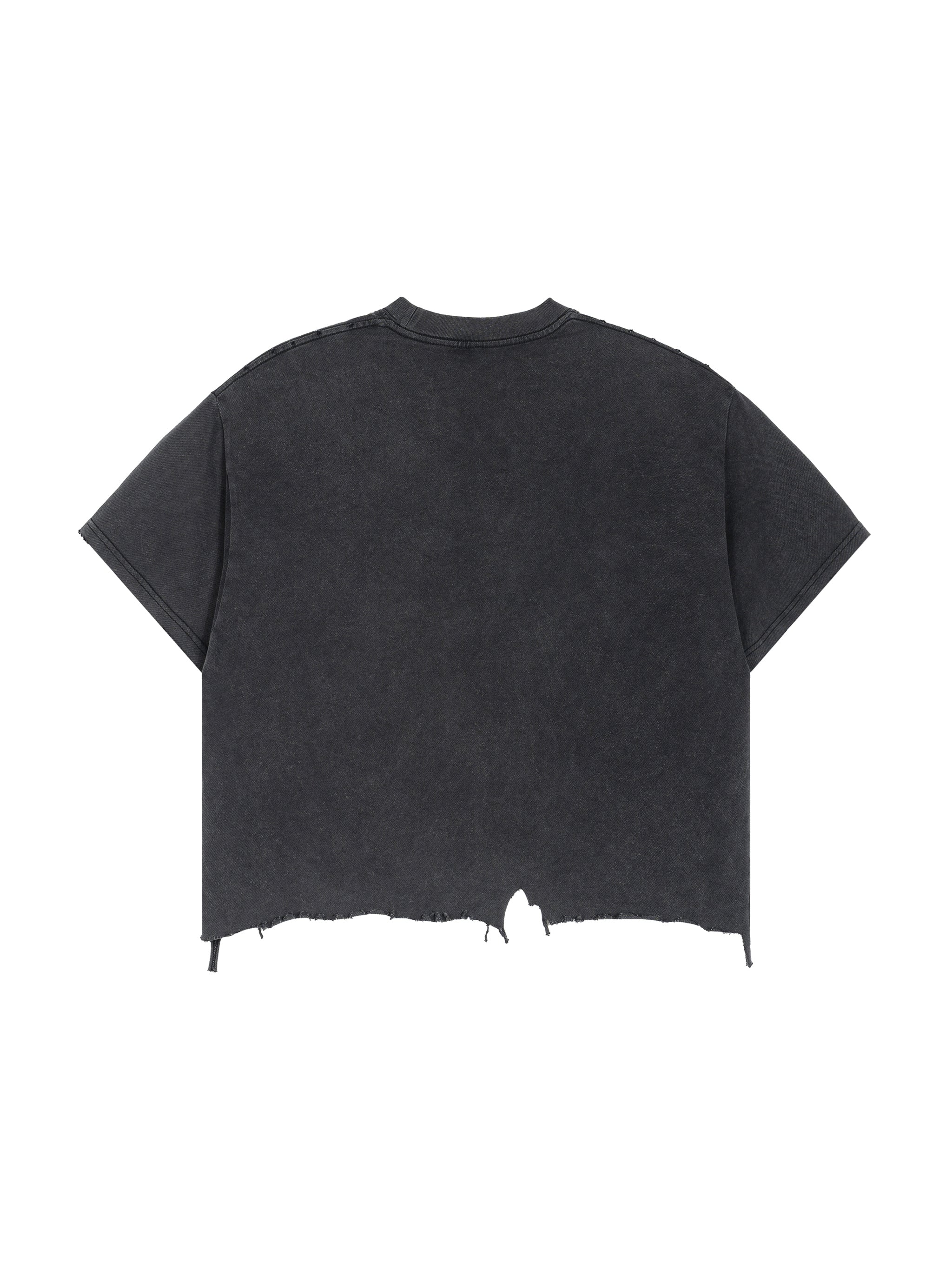Draft No. II - Washed Study